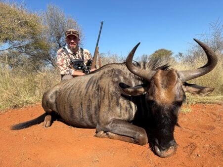 Day 1 Harvest: Marcel's Blue Wildebeest