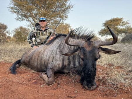 Day 1 Harvest: Zach's Blue Wildebeest