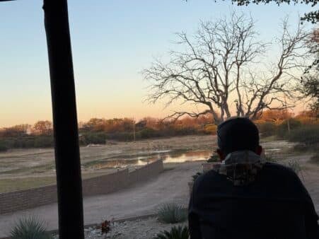 Marcel watching the blue wildebeests outside the Lodge on the first night.