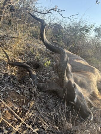 Day 3 Harvest: Dad's Kudu