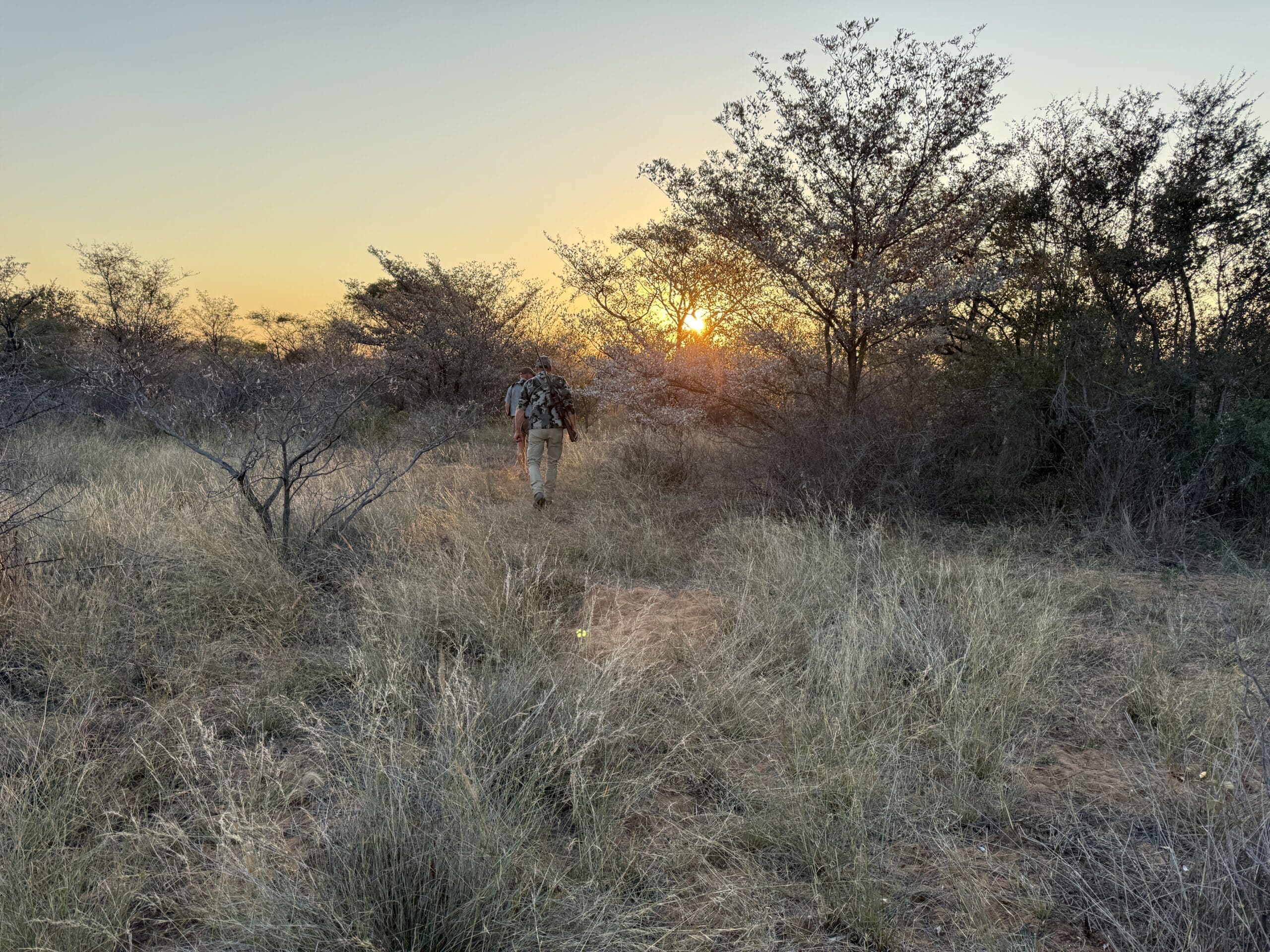 This is a good example of the mix of open terrain and brush heavy in northern South Africa.