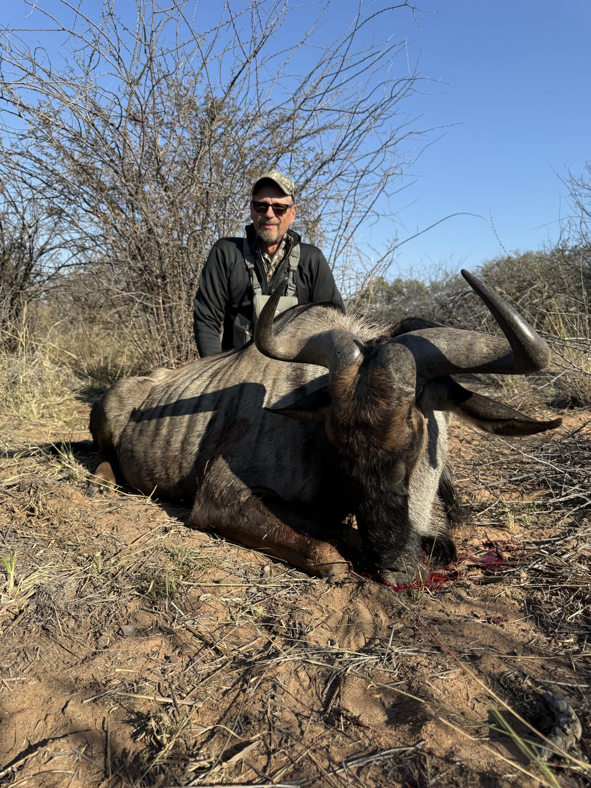 Day 4 Harvest: Dad's Blue Wildebeest