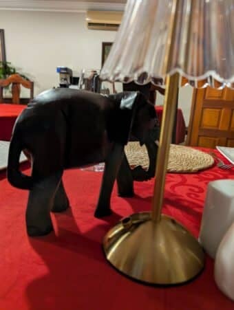 Again, Marcel couldn't resist taking pics of the elephants.