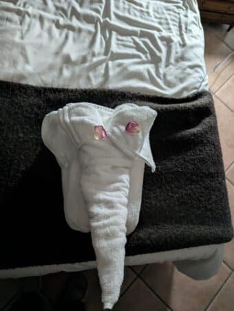 Marcel couldn't help but document the weird towel critters... pretty sure that's trying to be an elephant.