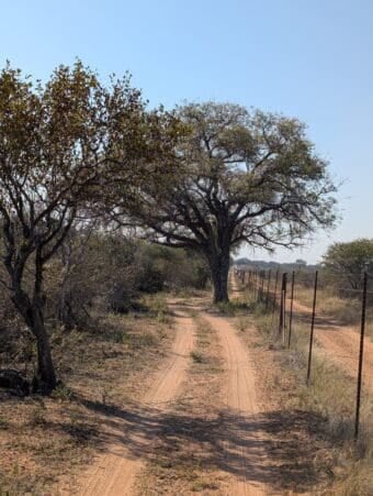 Property 2 from the hunt in South Africa. This showcases the fencing on all the properties.