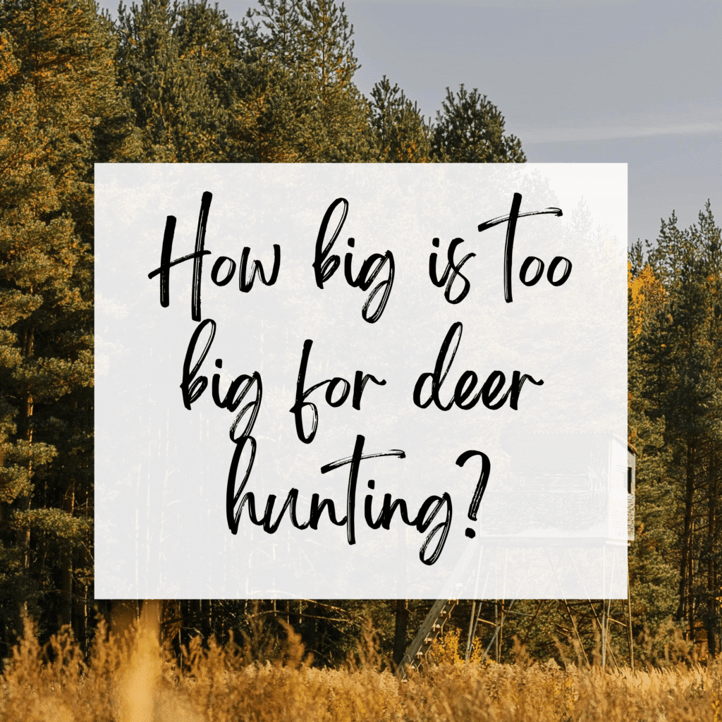too big for deer hunting
