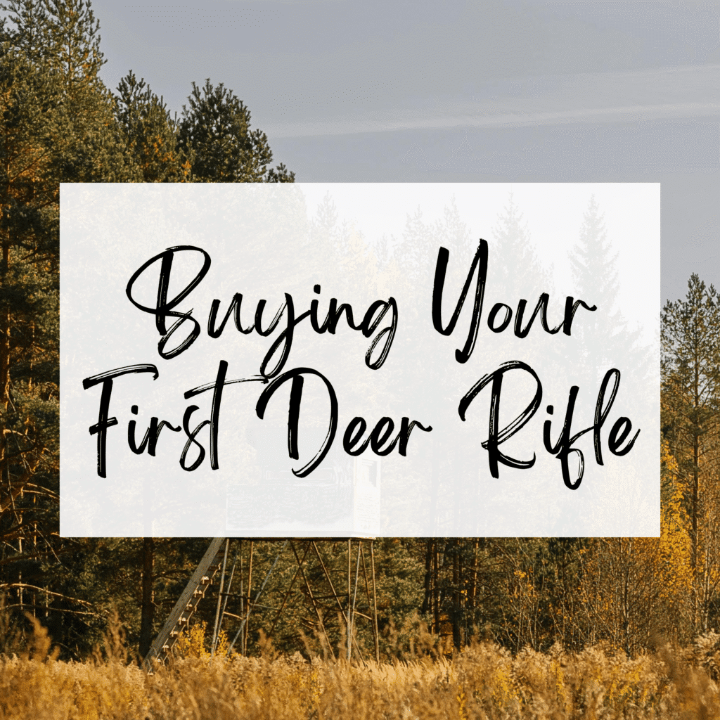 buying your first rifle