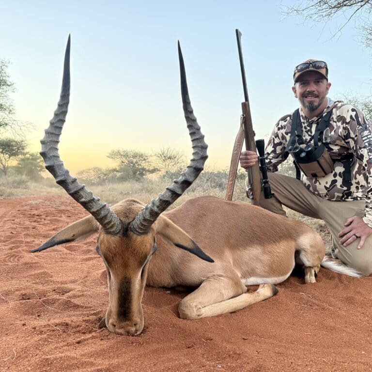 Day 1 Harvest: Marcel's Impala