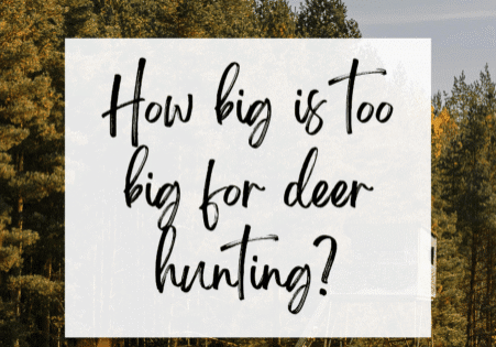 too big for deer hunting