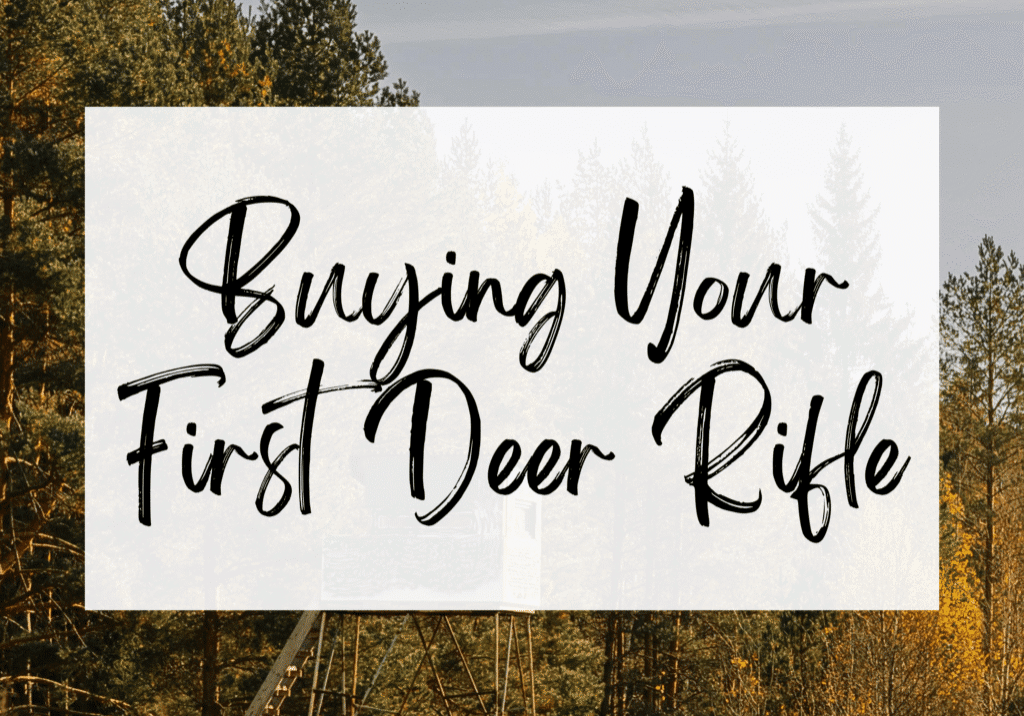 buying your first rifle