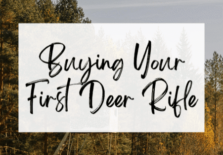 buying your first rifle